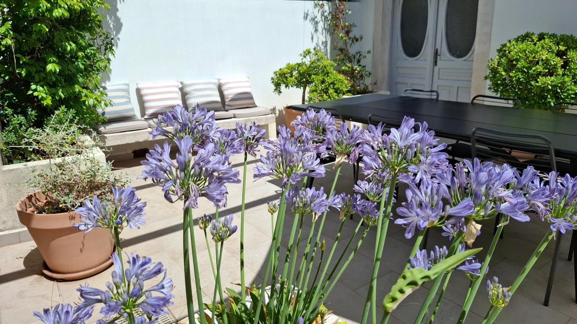 Villa Mira With A Heated Pool And A Sea View Božava Zewnętrze zdjęcie